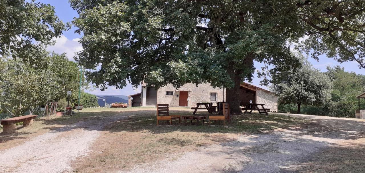 Casale Al Lago Con Piscina E Sauna Corbara  Luaran gambar
