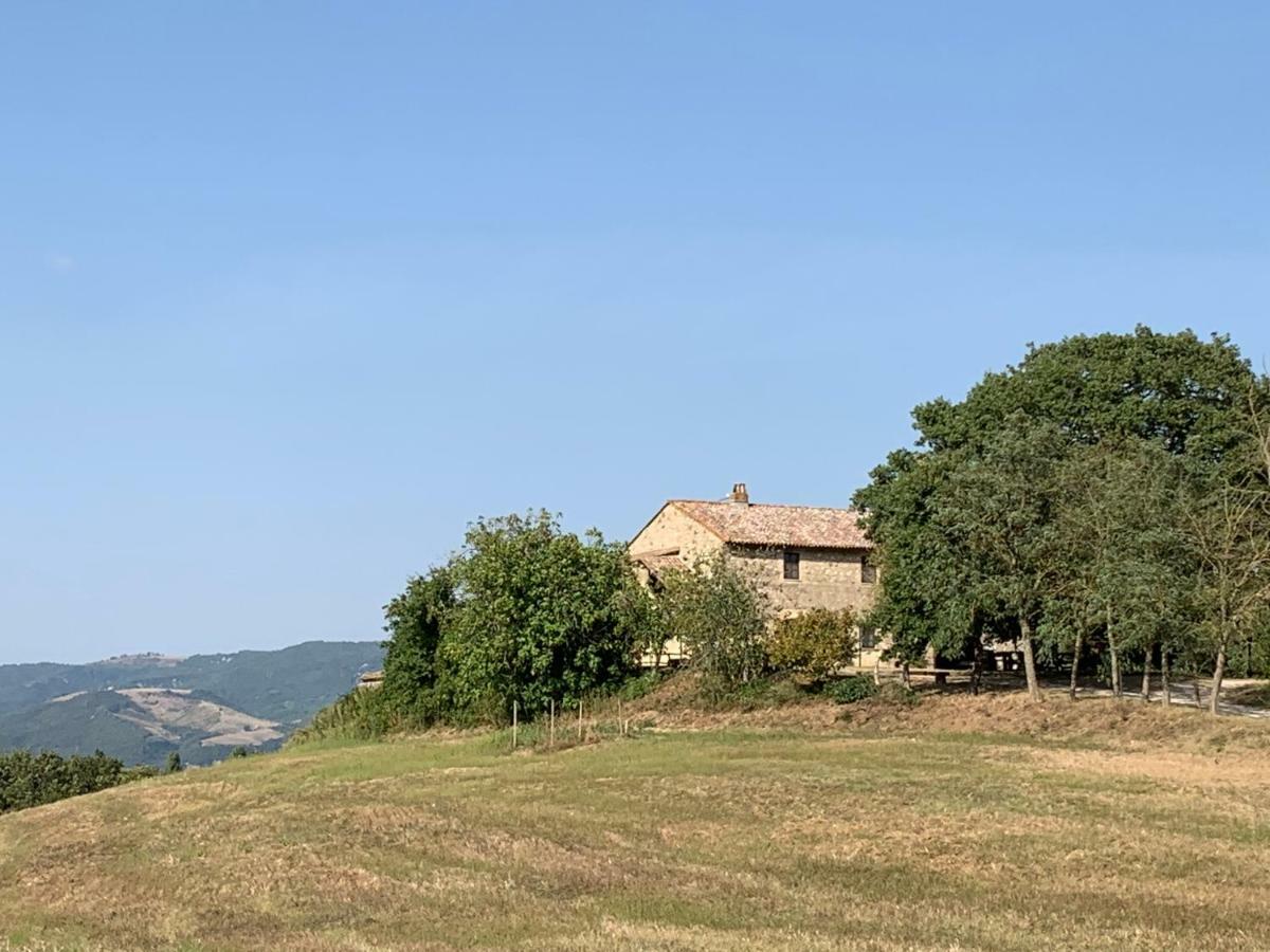 Casale Al Lago Con Piscina E Sauna Corbara  Luaran gambar