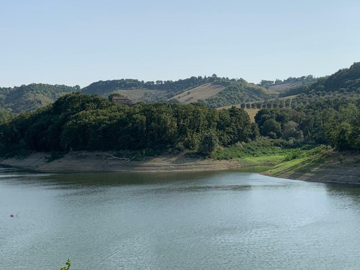 Casale Al Lago Con Piscina E Sauna Corbara  Luaran gambar